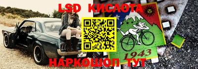 ГАЛЛЮЦИНОГЕННЫЕ ГРИБЫ Боровичи